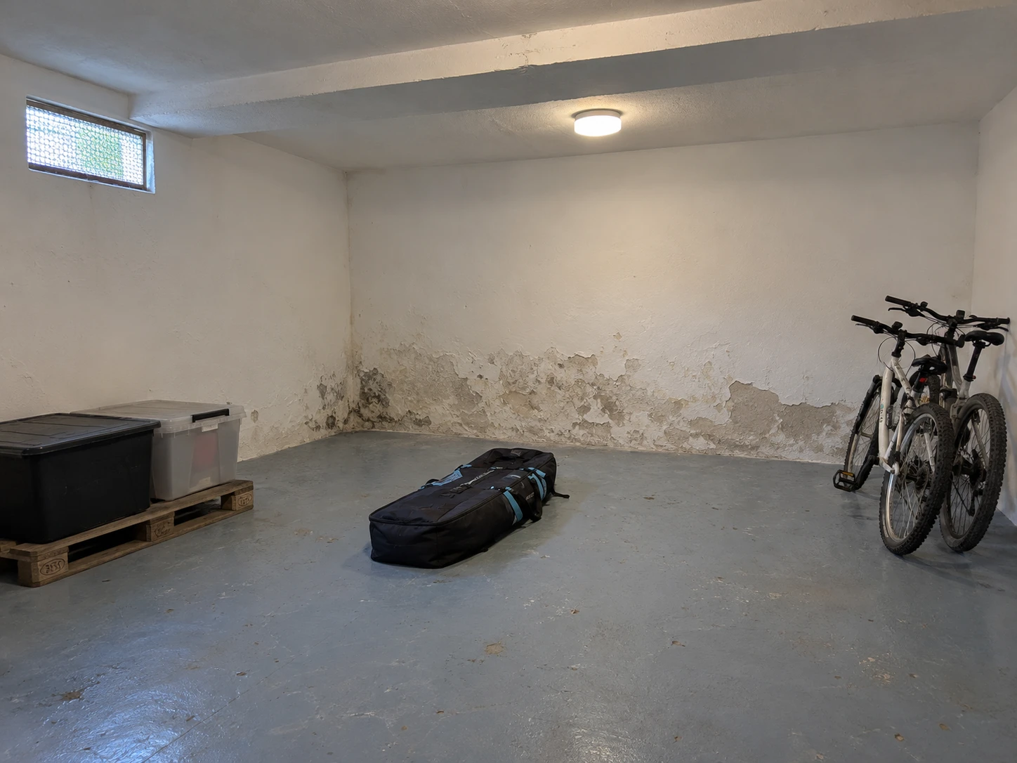 Damp storage room with patches of mould